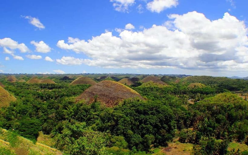 Cebu: Bohol Countryside and Loboc River Cruise Day Tour - Lunch on the Loboc River