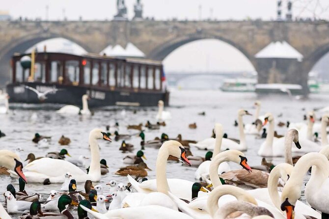 Charles Bridge: River Boat Cruise & Guided Tour ️with PragueWay - Boarding the boat below Charles Bridge