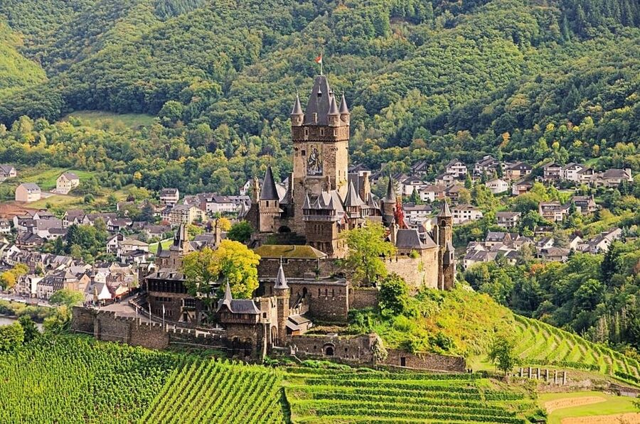 Cochem, Moselle: Castle, boat and wine tour - Four wines in a cellar, plus one bottle to take home