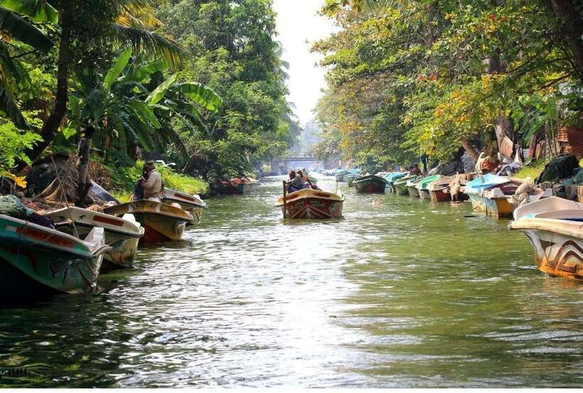 Colombo/Negombo: Muthurajawela & Dutch Canal Boat Adventure - The 6:45 boat through marsh and mangrove