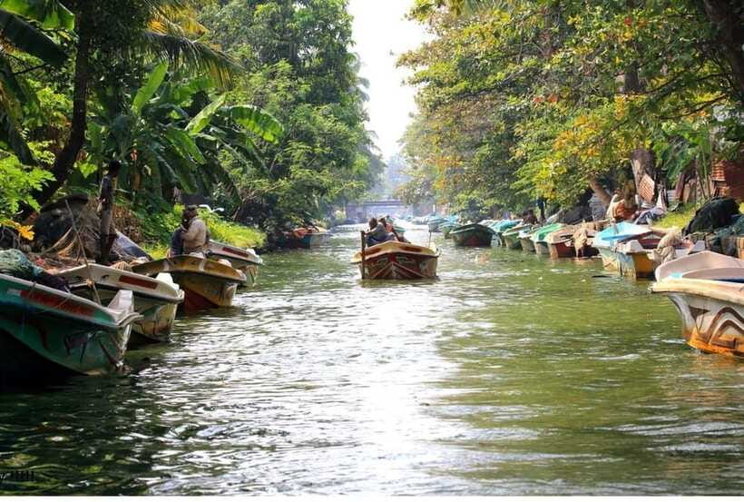 Colombo/Negombo: Muthurajawela & Dutch Canal Boat Adventure - Hamilton Canal at 9:30