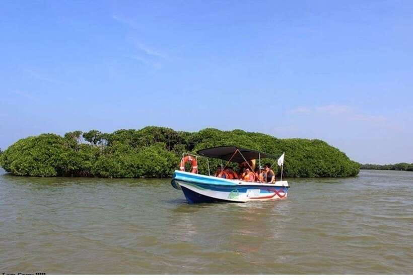 Colombo/Negombo: Muthurajawela & Dutch Canal Boat Adventure - Muthurajawela Wetland Sanctuary at 6:15
