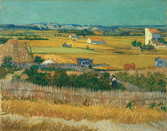 Combo Ticket: Van Gogh Museum Ticket and 1-Hour Canal Cruise - The Ticket Problem You Should Prepare For