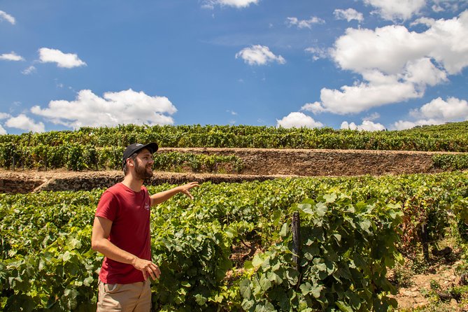 Complete Douro Valley Wine Tour with Lunch, Wine Tastings and River Cruise - At a glance