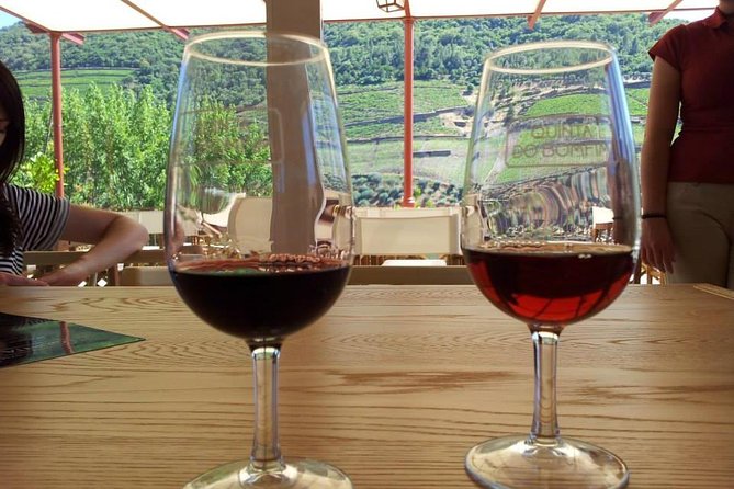 Complete Douro Valley Wine Tour with Lunch, Wine Tastings and River Cruise - Lunch with Douro wine
