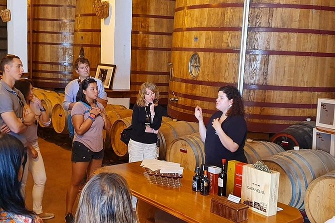 Complete Douro Valley Wine Tour with Lunch, Wine Tastings and River Cruise - São Cristóvão do Douro and the road to Pinhão