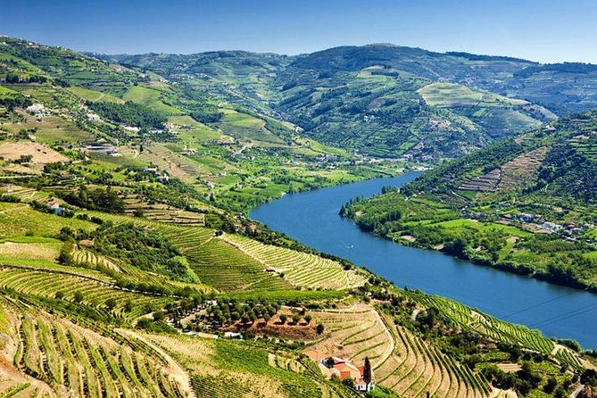 Complete Douro Valley Wine Tour with Lunch, Wine Tastings and River Cruise - The second estate in Folgosa