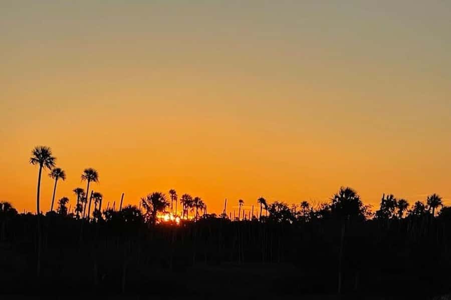 Crystal River: Sunset Cruise in Kings Bay - Is $41 a good value?