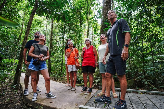 Daintree, Cape Tribulation & River Cruise from Port Douglas - Why this full-day Daintree trip works