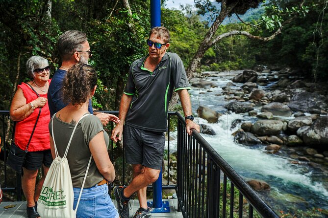Daintree, Cape Tribulation & River Cruise from Port Douglas - The boardwalk explains how the Daintree lives