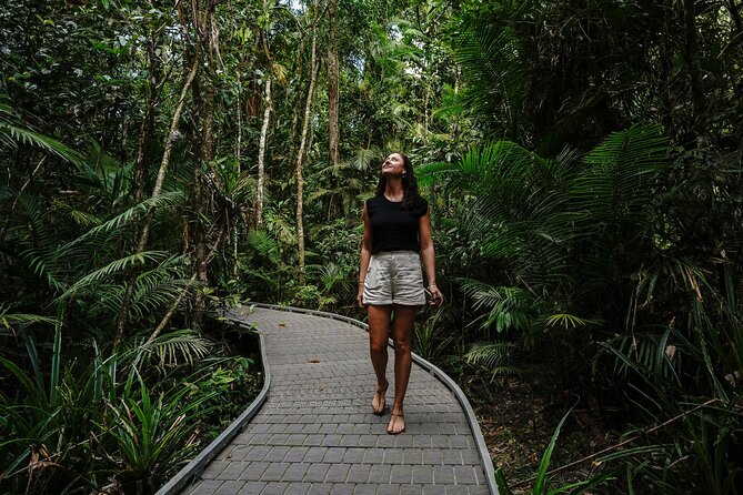 Daintree, Cape Tribulation & River Cruise from Port Douglas - Cooper Creek offers a safe freshwater pause