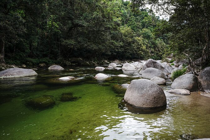 Daintree, Cape Tribulation & River Cruise from Port Douglas - Cape Tribulation brings the rainforest to the coast
