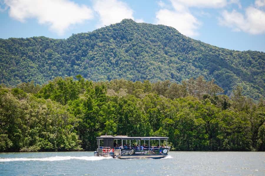 Daintree: Guided Daintree River Wildlife Cruise - Who should book this cruise?