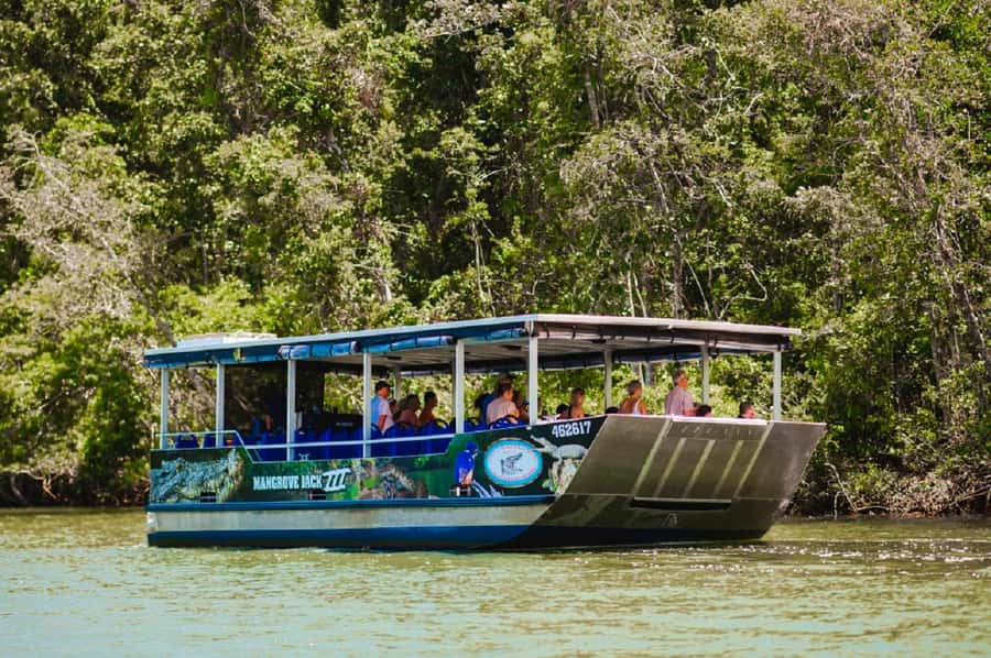 Daintree: Guided Daintree River Wildlife Cruise - Is the Daintree River cruise worth booking?