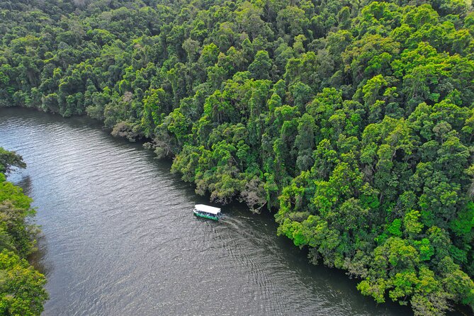 Daintree River Cruise - Daintree Village: the upper river and birdlife