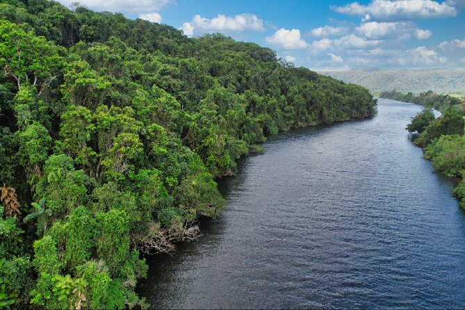 Daintree River Cruise - Weather, tides and wildlife expectations