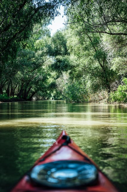 Danube Delta: Boat Tour Through the Water Lily Reserve - How much value you get for $22