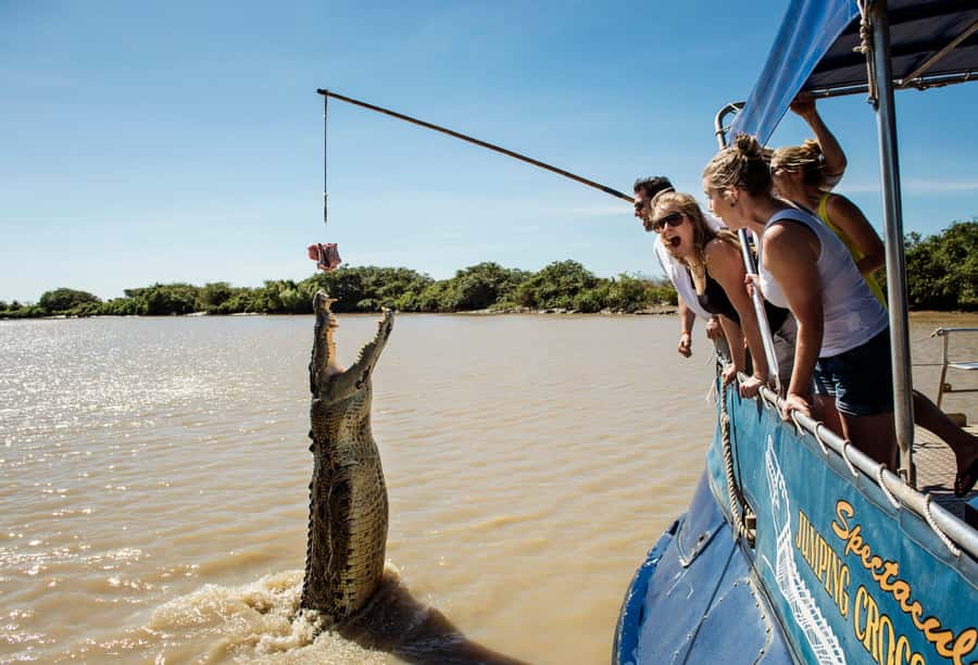 Darwin: Jumping Crocodile River Cruise with Shuttle Bus - The crocodile feeding and wildlife ethics