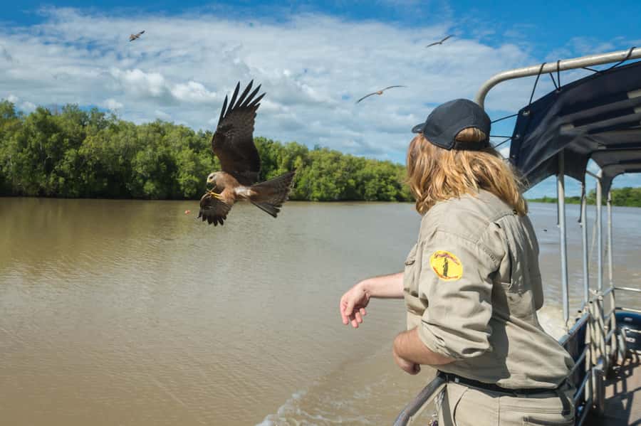 Darwin: Jumping Crocodile River Cruise with Shuttle Bus - A short stop beyond the river