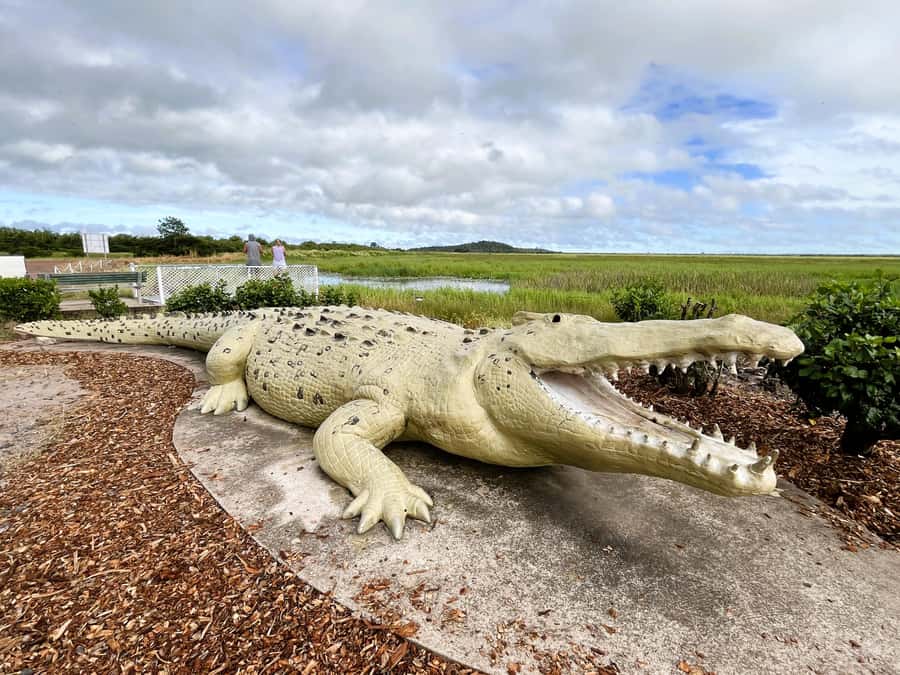 Darwin: Jumping Crocodile River Cruise with Shuttle Bus - Booking details worth knowing