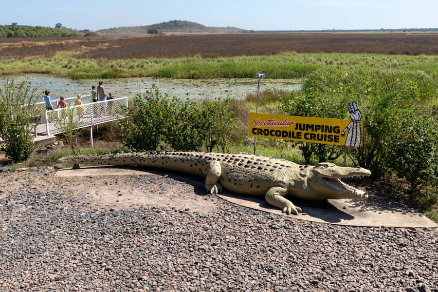 Darwin: Spectacular Jumping Crocodile Adelaide River Cruise - How the feeding works and why ethics matter