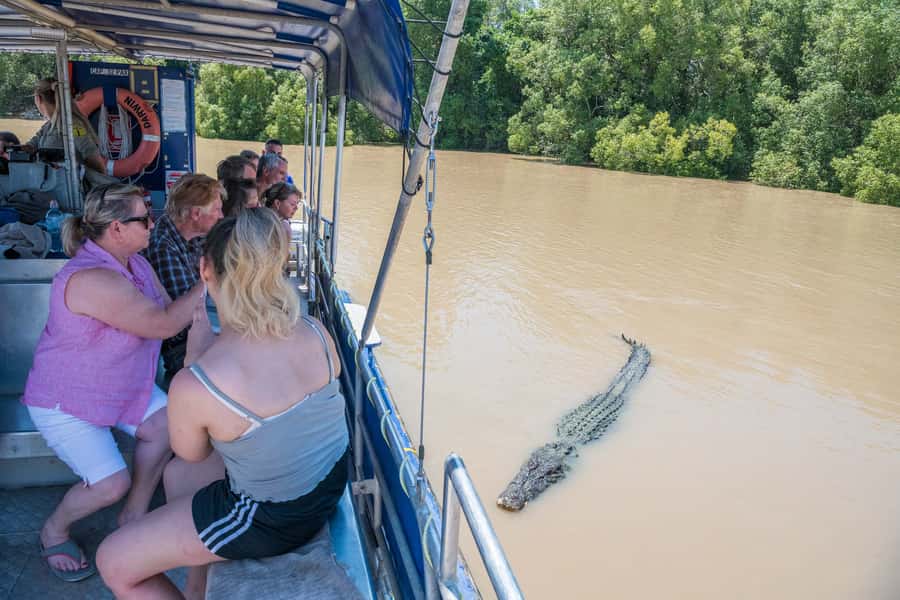 Darwin: Spectacular Jumping Crocodile Adelaide River Cruise - Reaching the meeting point from Darwin