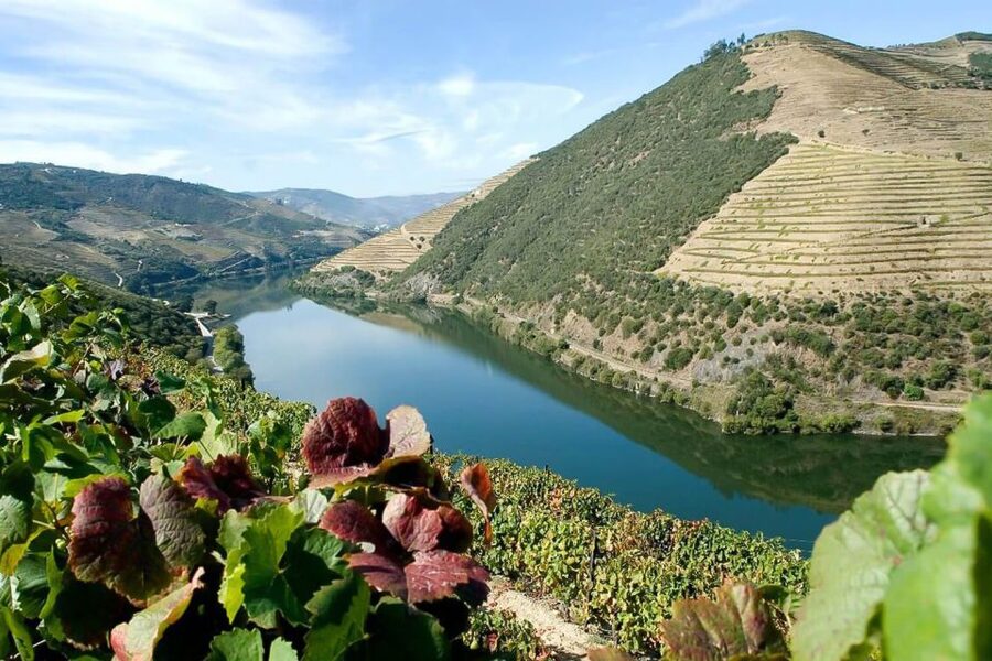 Day Cruise from Porto to Pinhão with Breakfast and Lunch - Pinhão and the wine estate stop
