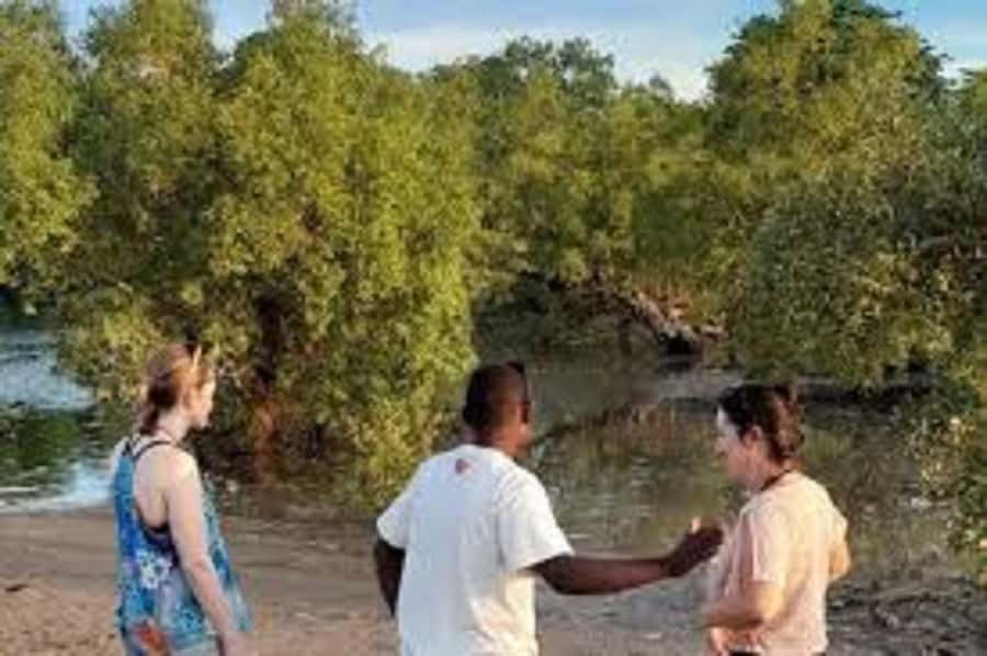 Diani Beach: Kongo River Estuary Sundowner Boat Tour - Why the Kongo River Estuary feels different from Diani Beach