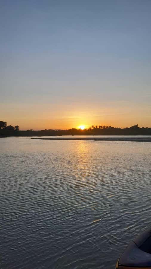 Diani: Sunset Cruise along Kongo River on Wooden Canoe boat - Mangroves, birds, and the value of going slowly