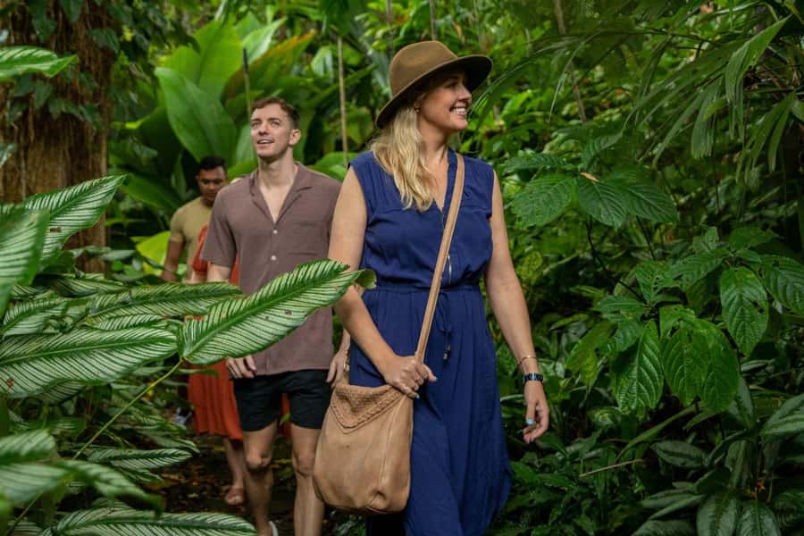 Discover Cairns: Cairns River Cruise & City Sights Tour - Key points to know before booking
