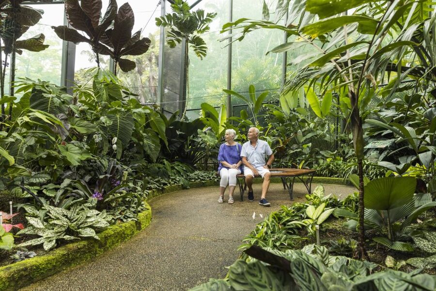 Discover Cairns: Cairns River Cruise & City Sights Tour - The guide can make or break the afternoon
