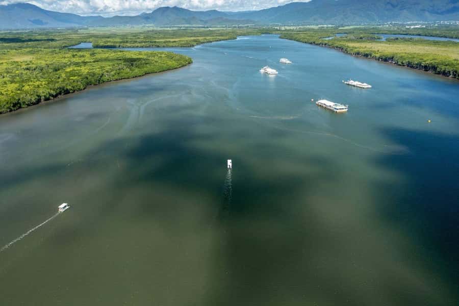 Discover Cairns: Cairns River Cruise & City Sights Tour - Why this Cairns day works so well