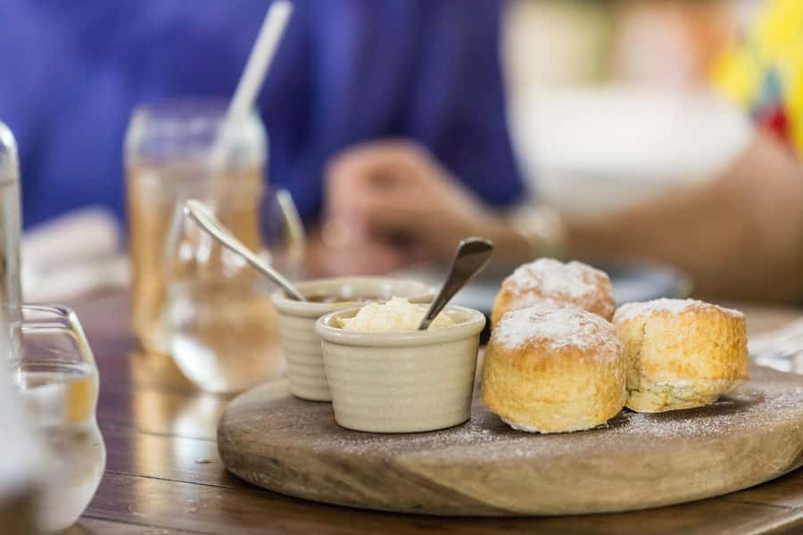 Discover Cairns: Cairns River Cruise & City Sights Tour - Lunch at Dundee’s on the waterfront
