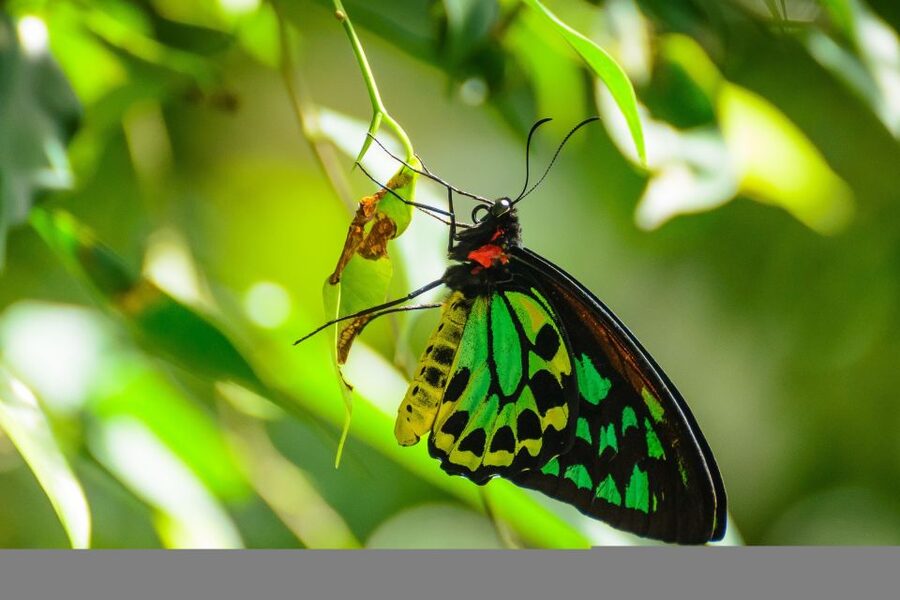 Discover Cairns: Cairns River Cruise & City Sights Tour - Cairns Museum puts the city in context