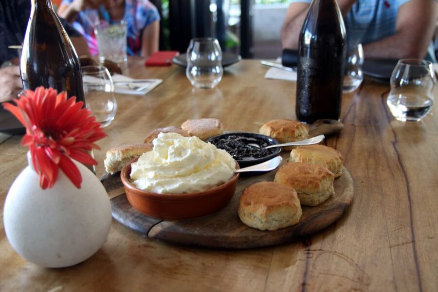 Discover Cairns: Cairns River Cruise & City Sights Tour - Cairns Botanic Gardens and Edge Hill tea