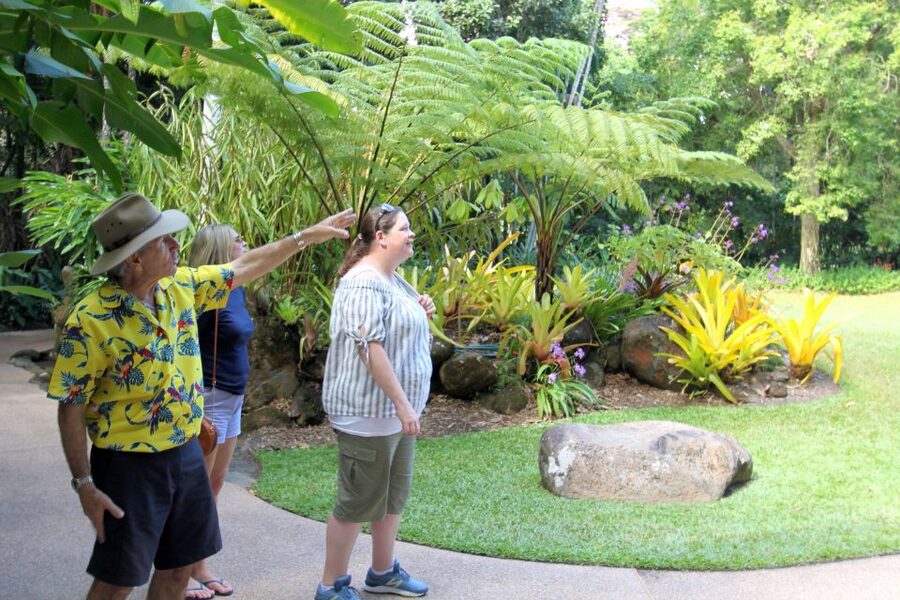 Discover Cairns: Cairns River Cruise & City Sights Tour - Scenic views before Palm Cove