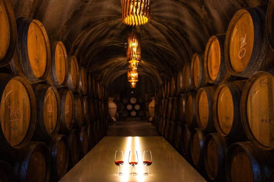 Douro Luxury - Private Cruise Premium Winery and Restaurant - A private cruise from Pinhão