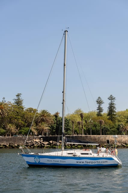 Douro River Cruise with Cheese & Tonic Porto in a Sailboat - Port tonic, cheese, and the value of the $59 price