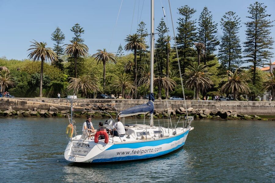 Douro River Cruise with Cheese & Tonic Porto in a Sailboat - Jardins do Palácio de Cristal from the river