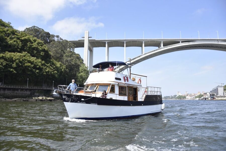 Douro River: Party Boat Tour - Arrábida Bridge and the Palácio de Cristal gardens