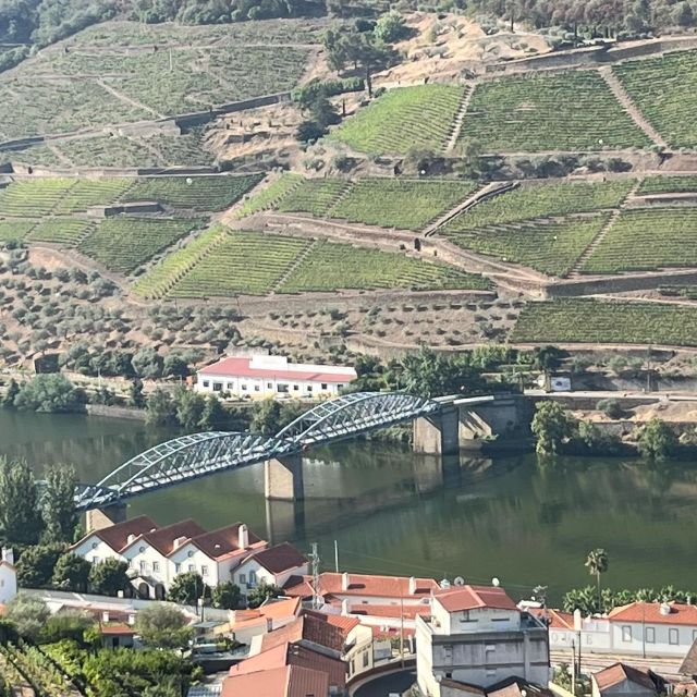 Douro Tour: Wine Tastings, Boat Ride & Manor House Lunch - Key details that shape the day