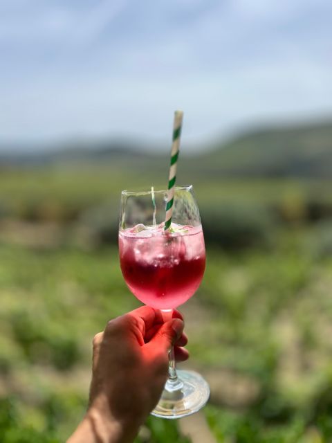 Douro Tour: Wine Tastings, Boat Ride & Manor House Lunch - What $235 buys you