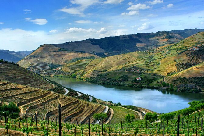 Douro Valley and Régua Panoramic Cruise with Lunch from Porto - What lunch and drinks are like onboard