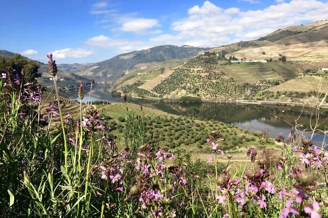 Douro Valley and Régua Panoramic Cruise with Lunch from Porto - How much guiding will you receive?