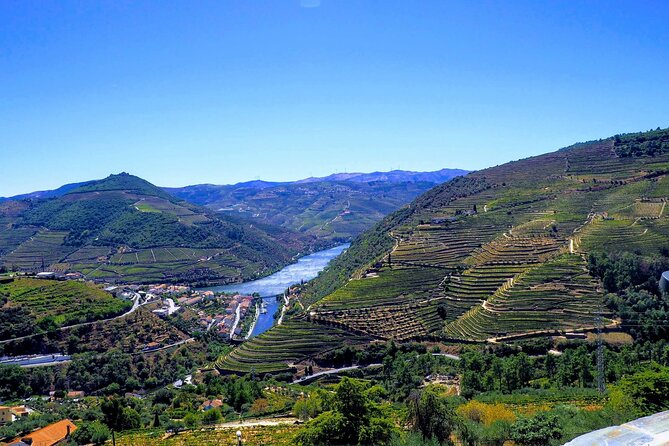 Douro Valley and Régua Panoramic Cruise with Lunch from Porto - Comfort, group size, and timing