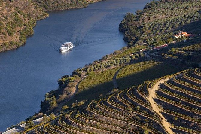 Douro Valley Cruise Porto to Pinhão: Breakfast, Lunch and Tasting - Breakfast is useful, not memorable