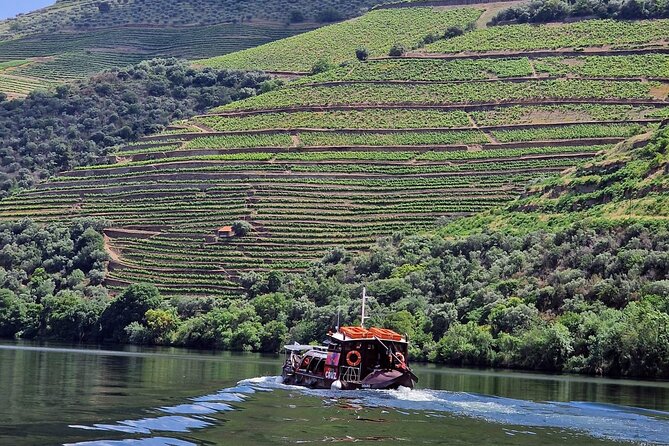 Douro Valley-Expert Guide-Boat-Lunch-Tastings-Offer wine bottle - Key points to know before you book