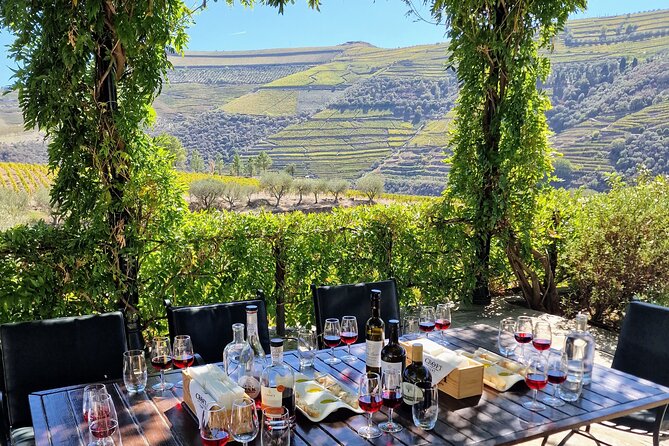 Douro Valley-Expert Guide-Boat-Lunch-Tastings-Offer wine bottle - The São Cristóvão viewpoint gives you the big picture