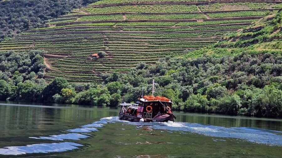 Douro Valley-Expert Guide-Boat-Lunch-Tastings PremiumService - A one-hour boat ride from Pinhão