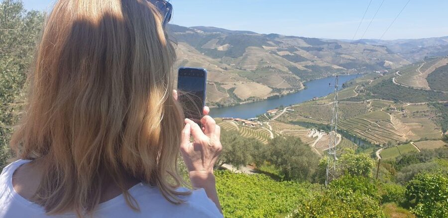 Douro Valley-Expert Guide-Boat-Lunch-Tastings PremiumService - The second winery: from vineyard to bottle
